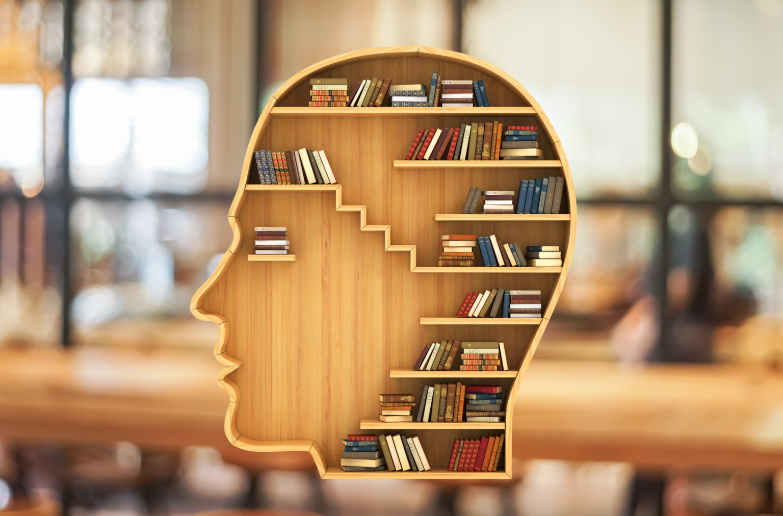 Insights_Library-head-w-background-1536x1012.png